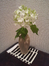 20120717-P1001130 2.jpg